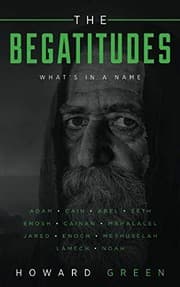 Tapa de The Begatitudes