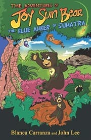 Tapa de The Adventures of Joy Sun Bear