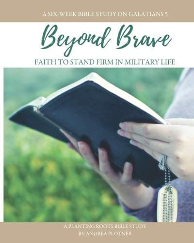 Tapa de Beyond Brave