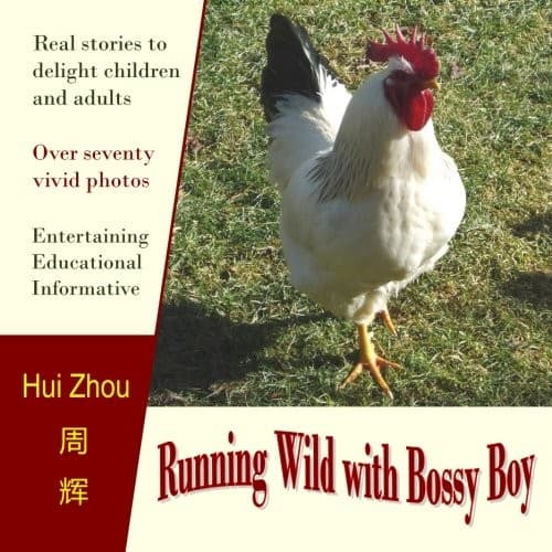 Tapa de Running Wild with Bossy Boy
