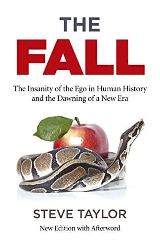 Tapa de The Fall