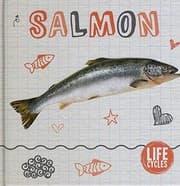 Tapa de Salmon