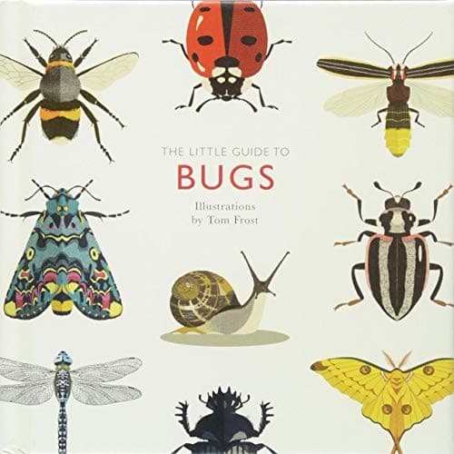 Tapa de The Little Guide to Bugs