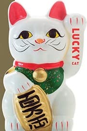 Tapa de Lucky Cat