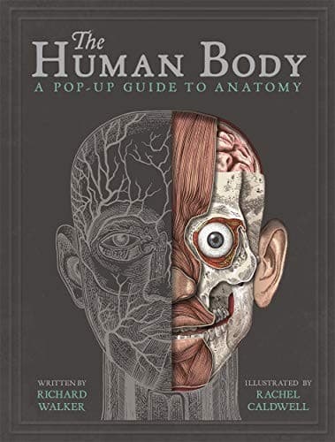 Tapa de The Human Body