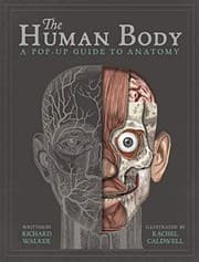 Tapa de The Human Body