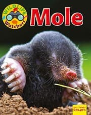Tapa de Mole