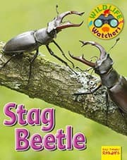 Tapa de Stag Beetle