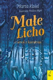 Tapa de Małe Licho i anioł z kamienia