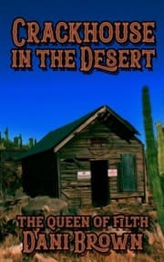 Tapa de The Crack House in the Desert