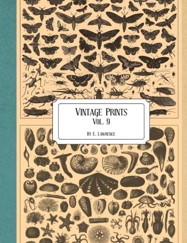 Tapa de Vintage Prints