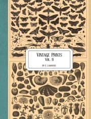 Tapa de Vintage Prints