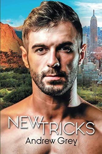 Tapa de New Tricks