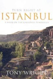 Tapa de Turn Right at Istanbul