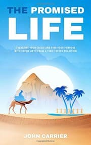 Tapa de The Promised Life