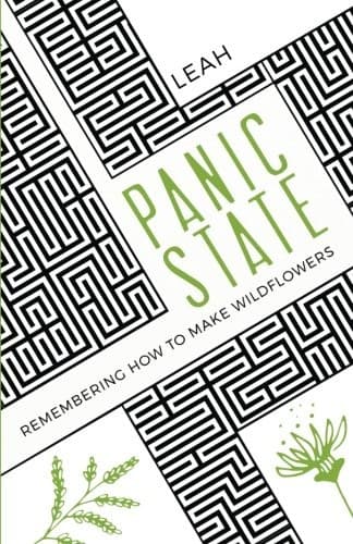 Tapa de Panic State