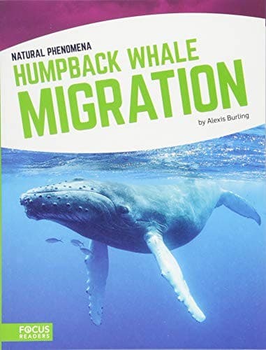 Tapa de Humpback Whale Migration
