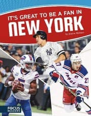 Tapa de It’s Great to Be a Fan in New York