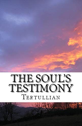 Tapa de The Soul's Testimony