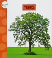 Tapa de Trees