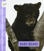 Tapa de Baby Bears