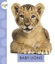 Tapa de Baby Lions