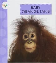 Tapa de Baby Orangutans