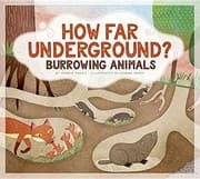 Tapa de How Far Underground?