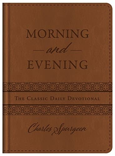 Tapa de Morning and Evening