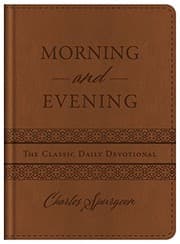 Tapa de Morning and Evening