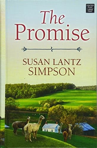 Tapa de The Promise