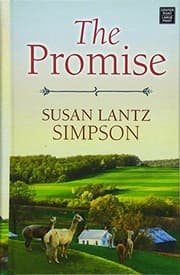 Tapa de The Promise