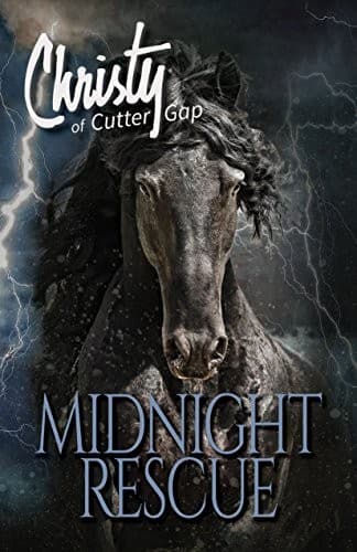 Tapa de Midnight Rescue