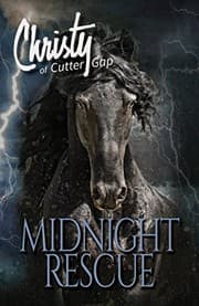 Tapa de Midnight Rescue