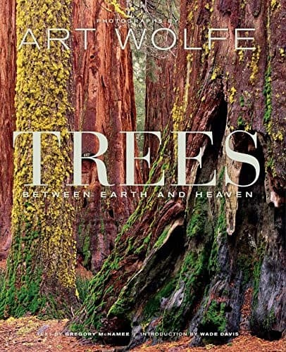 Tapa de Trees