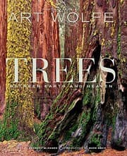 Tapa de Trees
