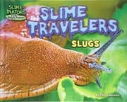 Tapa de Slime Travelers
