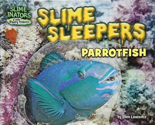 Tapa de Slime Sleepers