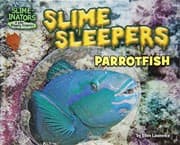 Tapa de Slime Sleepers