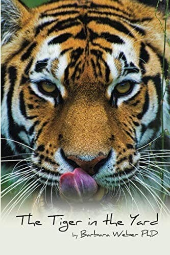 Tapa de The Tiger in the Yard
