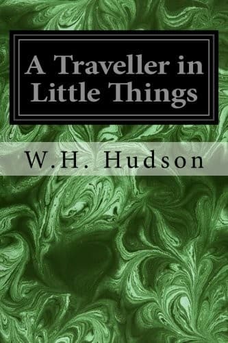 Tapa de A Traveller in Little Things