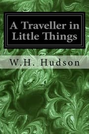 Tapa de A Traveller in Little Things