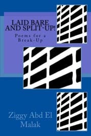 Tapa de Laid Bare and Split-Up!