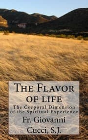 Tapa de The Flavor of life