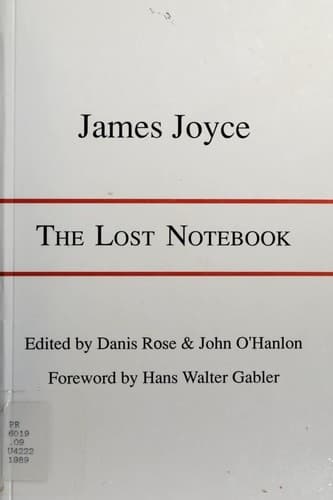 Tapa de The lost notebook