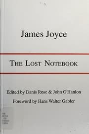 Tapa de The lost notebook