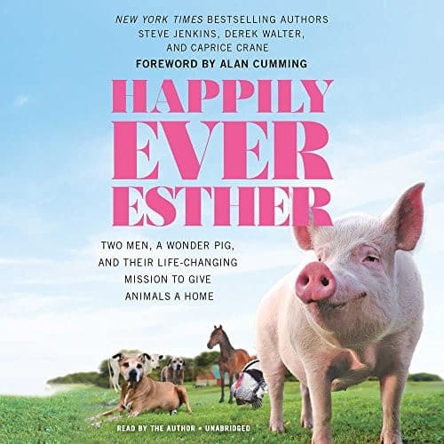 Tapa de Happily Ever Esther