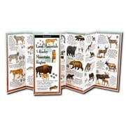 Tapa de Land Mammals of the Rocky Mountain Region