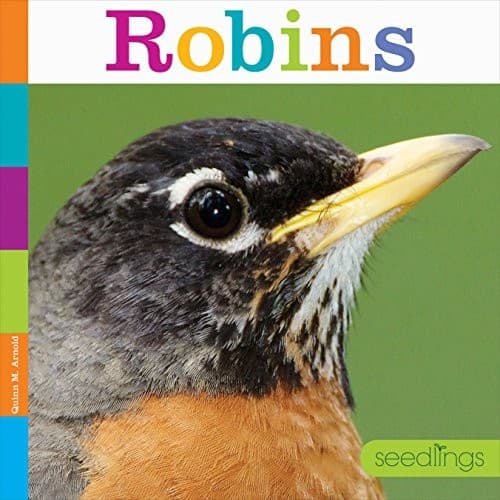Tapa de Robins