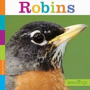 Tapa de Robins